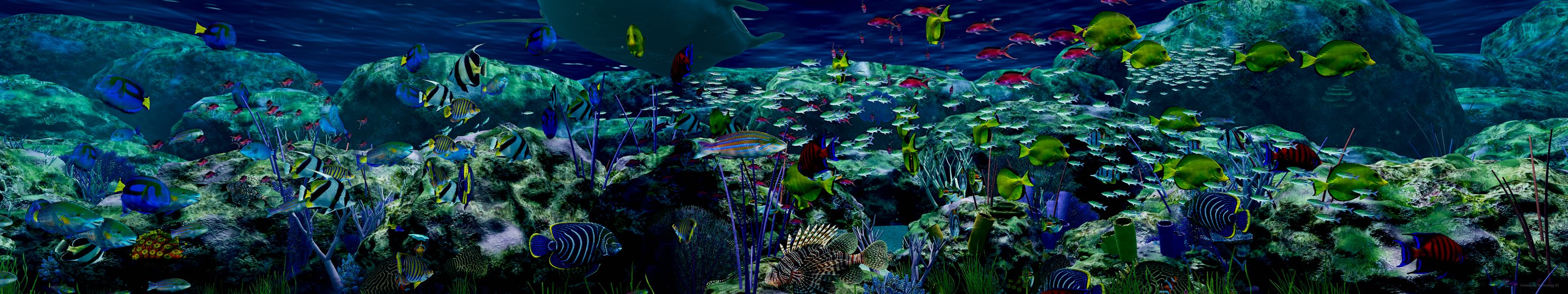 A coral reef full of fish, shown running across three monitors